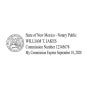 New Mexico Pink Rectangle Notary Stamp